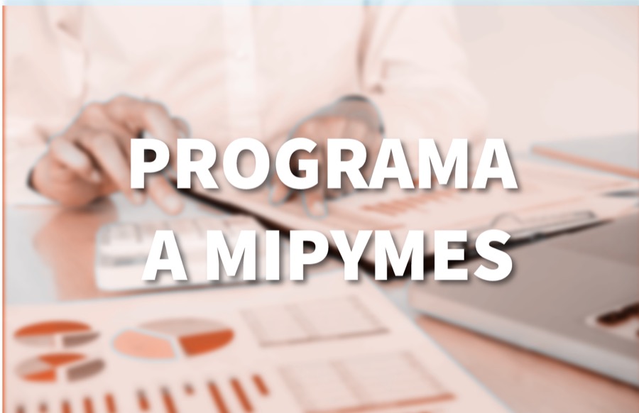 Programa de Fortalecimiento a Microempresas